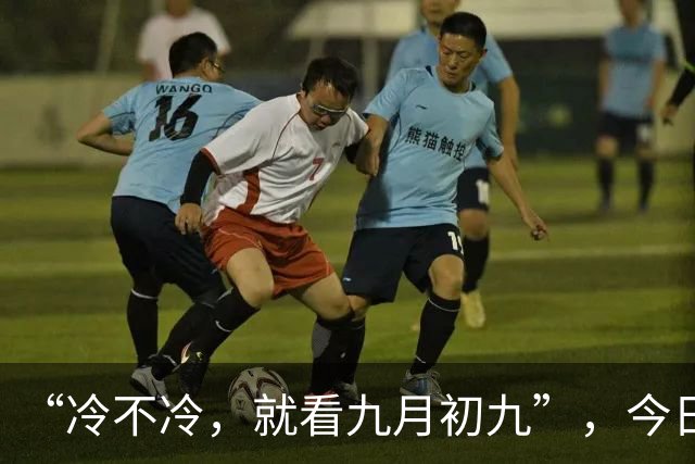 “冷不冷，就看九月初九”，今日九九重阳节，今年冬天会很冷吗？