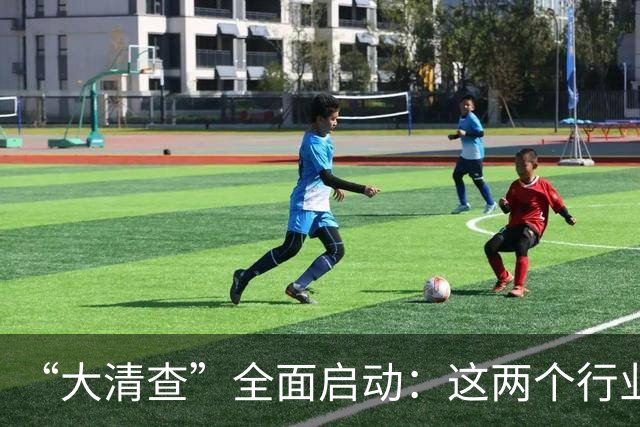 “大清查”全面启动：这两个行业从严排查，一经查实违规立刻重罚