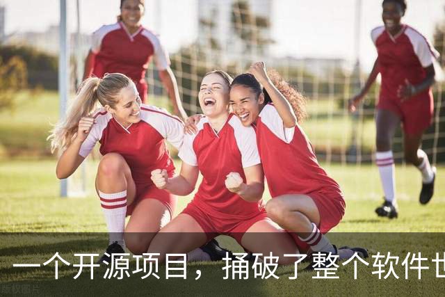 一个开源项目，捅破了整个软件世界的窗户纸