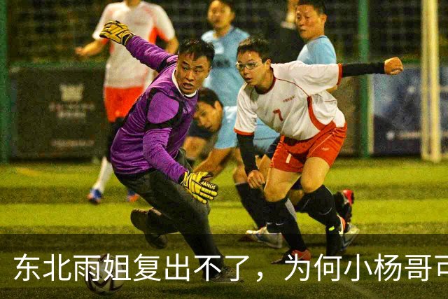 东北雨姐复出不了，为何小杨哥可以？因为他背后有卢文庆