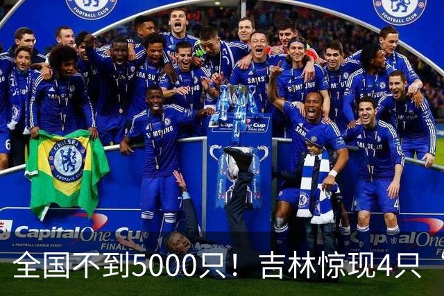 全国不到5000只！吉林惊现4只“四凶之首”，看懵30年老手！