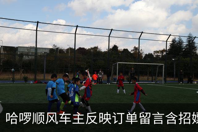 哈啰顺风车主反映订单留言含招嫖暗语！平台称已封禁下单账号