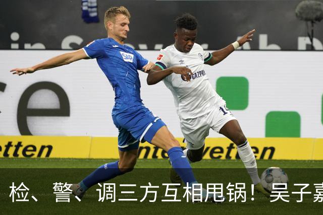 检、警、调三方互相甩锅！吴子嘉上演反击教科书，郑丽文可以效仿