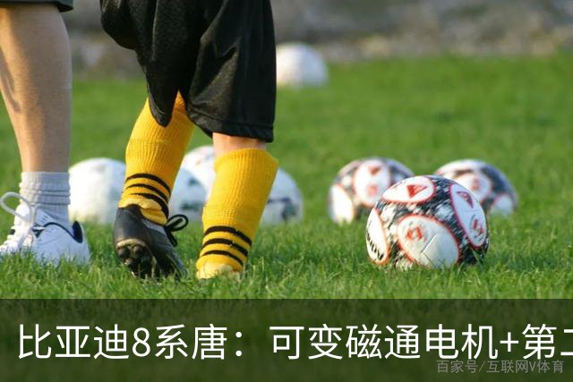 比亚迪8系唐：可变磁通电机+第二代刀片电池全曝光，固态电池下放