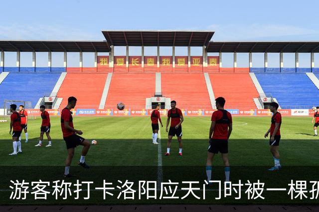 游客称打卡洛阳应天门时被一棵孤树遮挡，网友称“树比门早”，当地：树是百年古树，修建应天门时专门保留